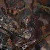 Be'lakor Preview - last post by happyslugger